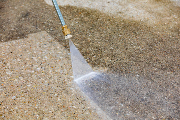 Best Roof Cleaning and Mildew Removal in Claypool, AZ